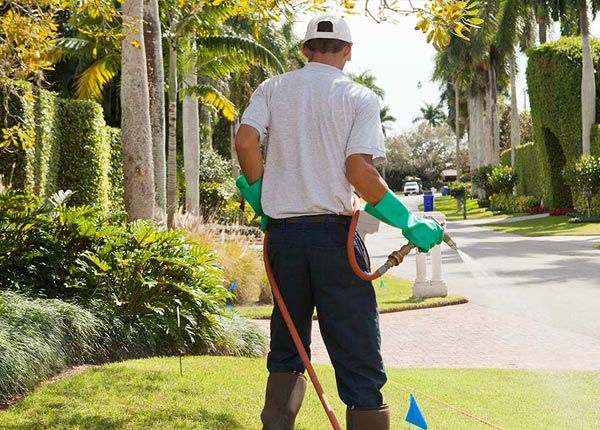 About Wilsonville AL Pest Control Pros